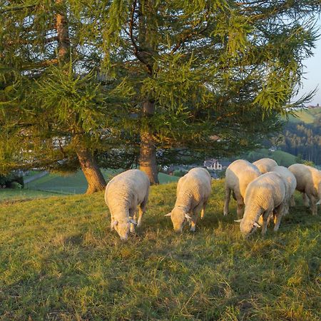 Vegan Health Hotel Sonnenberg Glutenfrei Schwellbrunn Εξωτερικό φωτογραφία