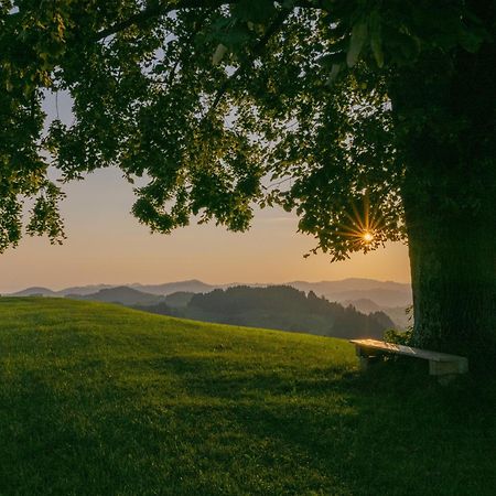 Vegan Health Hotel Sonnenberg Glutenfrei Schwellbrunn Εξωτερικό φωτογραφία