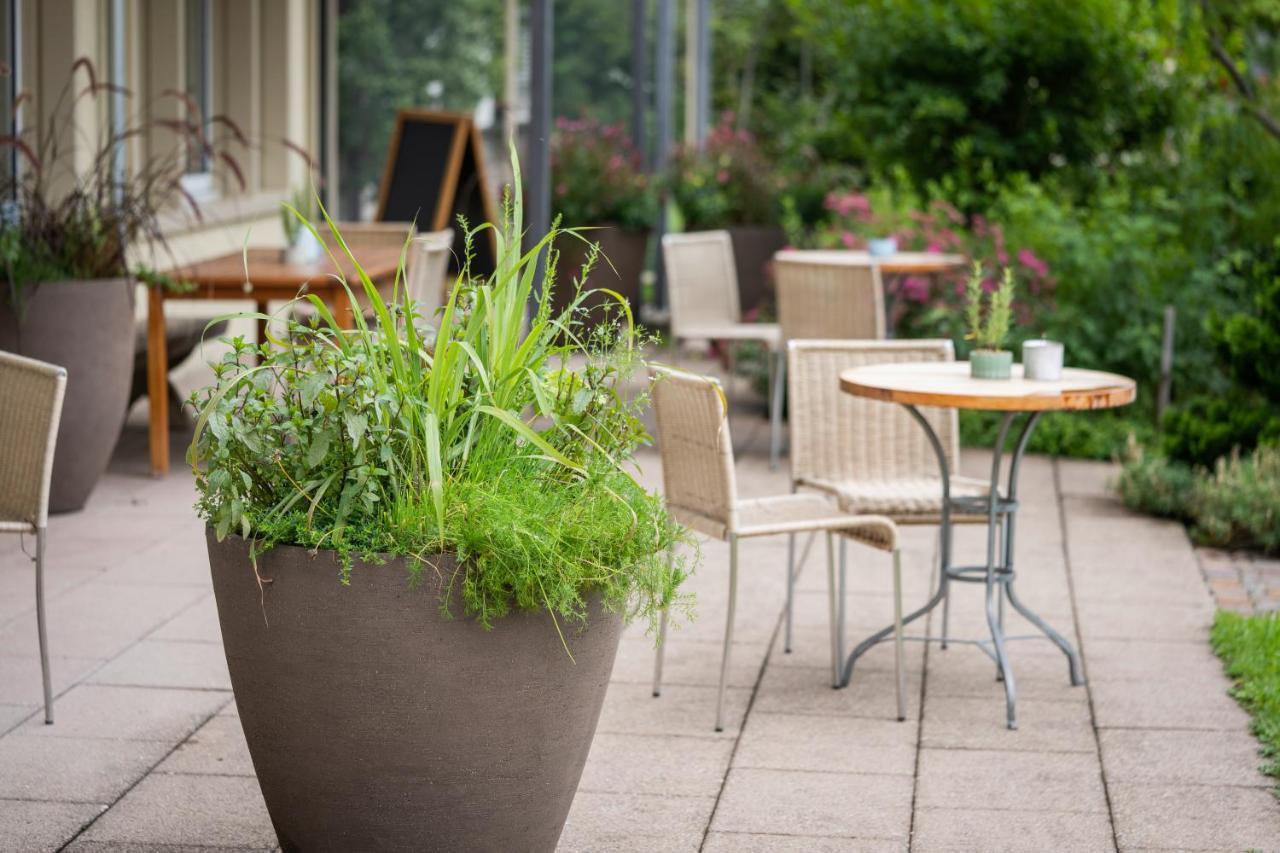 Vegan Health Hotel Sonnenberg Glutenfrei Schwellbrunn Εξωτερικό φωτογραφία